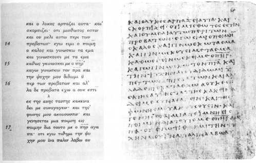 A picture of a single well-preserved page of Greek writing, John 10:13-17
